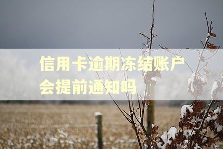 信用卡逾期冻结账户会提前通知吗
