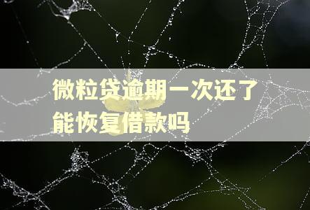微粒贷逾期一次还了能恢复借款吗