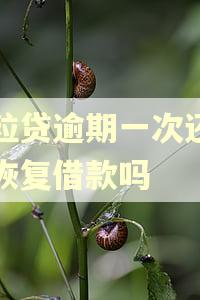 微粒贷逾期一次还了能恢复借款吗