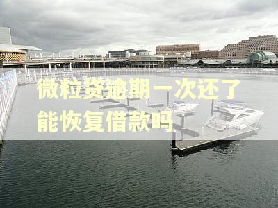 微粒贷逾期一次还了能恢复借款吗