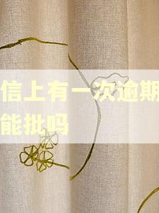 征信上有一次逾期房贷能批吗