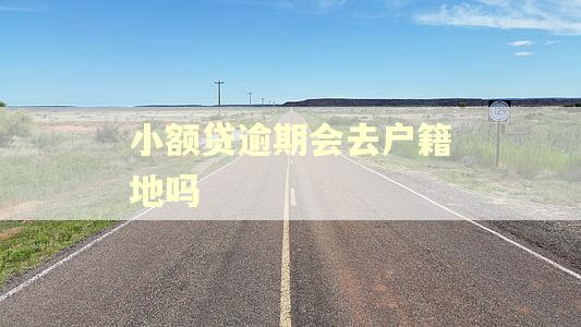 小额贷逾期会去户籍地吗