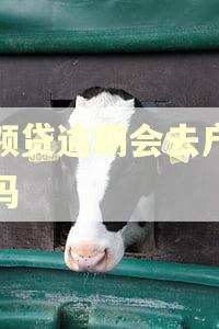 小额贷逾期会去户籍地吗