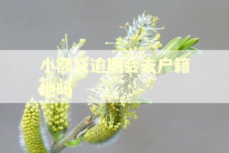 小额贷逾期会去户籍地吗