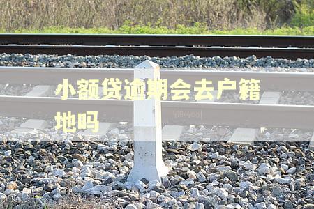 小额贷逾期会去户籍地吗 小额贷逾期会去户籍地吗