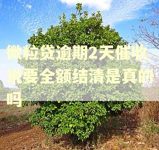 微粒贷逾期2天催收说要全额结清是真的吗