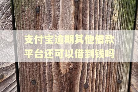 支付宝逾期其他借款平台还可以借到钱吗