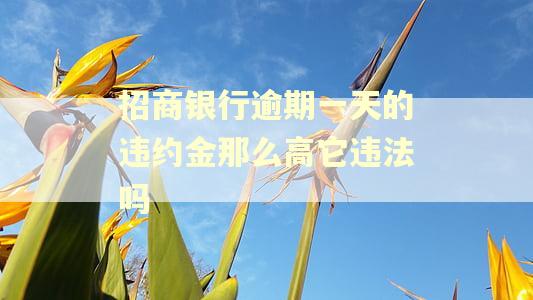 招商银行逾期一天的违约金那么高它违法吗