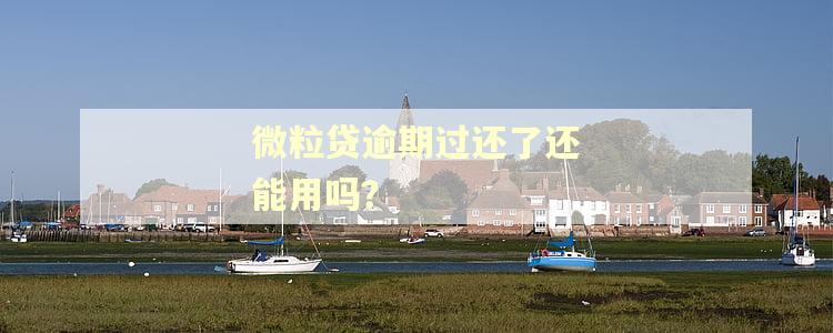 微粒贷逾期过还了还能用吗？
