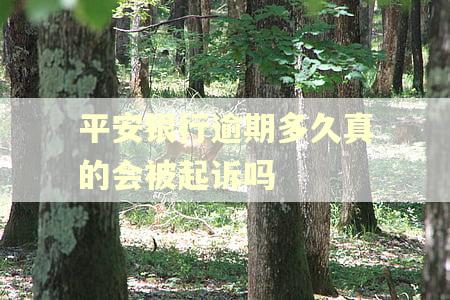 平安银行逾期多久真的会被起诉吗