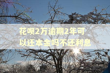 花呗2万逾期2年可以还本金吗不还利息