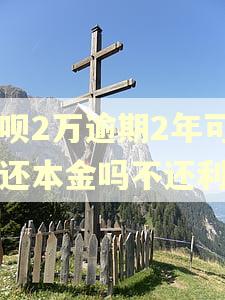 花呗2万逾期2年可以还本金吗不还利息 花呗2万逾期2年可以还本金吗不还利息