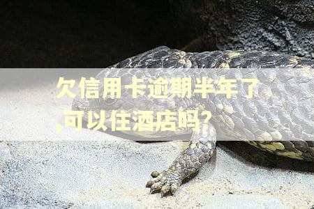 欠信用卡逾期半年了,可以住酒店吗?