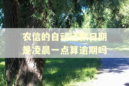 农信的自动还款日期是凌晨一点算逾期吗
