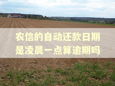 农信的自动还款日期是凌晨一点算逾期吗