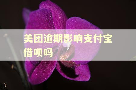 美团逾期影响支付宝借呗吗 美团逾期影响支付宝借呗吗