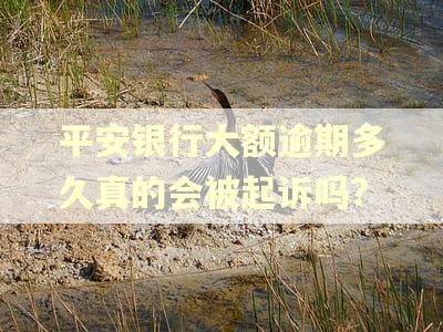 平安银行大额逾期多久真的会被起诉吗?