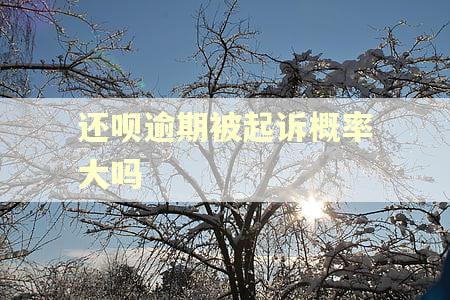 还呗逾期被起诉概率大吗