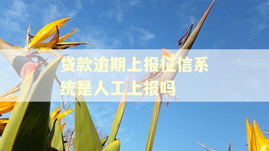 贷款逾期上报征信系统是人工上报吗