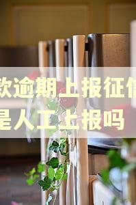 贷款逾期上报征信系统是人工上报吗