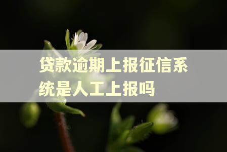 贷款逾期上报征信系统是人工上报吗