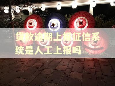 贷款逾期上报征信系统是人工上报吗