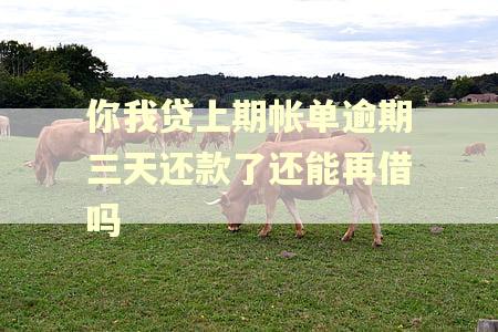 你我贷上期帐单逾期三天还款了还能再借吗