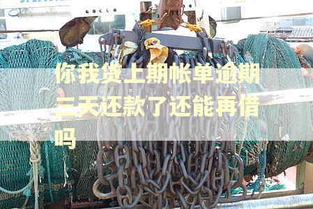你我贷上期帐单逾期三天还款了还能再借吗