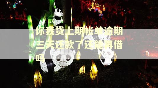 你我贷上期帐单逾期三天还款了还能再借吗