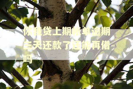 你我贷上期帐单逾期三天还款了还能再借吗