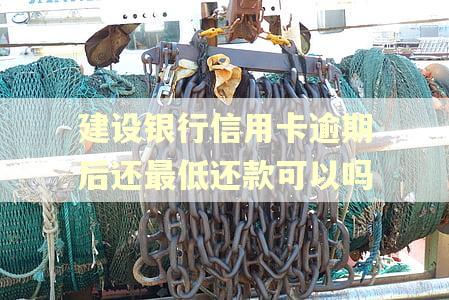 建设银行信用卡逾期后还最低还款可以吗