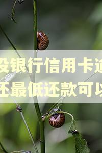 建设银行信用卡逾期后还最低还款可以吗 建设银行信用卡逾期后还最低还款可以吗