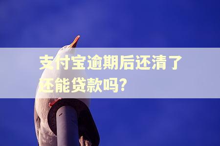支付宝逾期后还清了还能贷款吗?