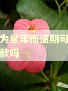 因为坐牢而逾期可以贷款吗