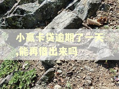 小赢卡贷逾期了一天,能再借出来吗