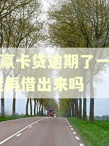 小赢卡贷逾期了一天,能再借出来吗