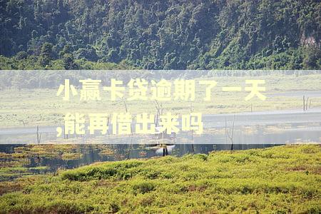 小赢卡贷逾期了一天,能再借出来吗