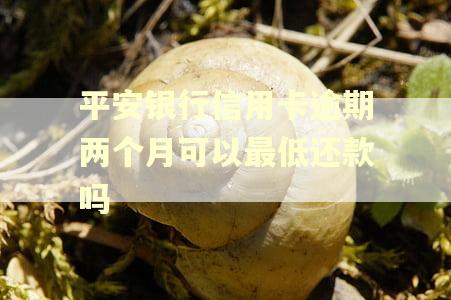 平安银行信用卡逾期两个月可以最低还款吗