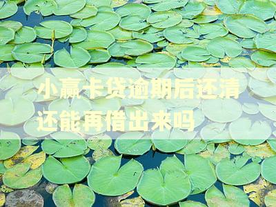 小赢卡贷逾期后还清还能再借出来吗