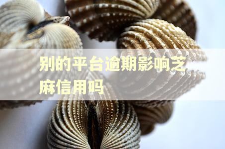 别的平台逾期影响芝麻信用吗 别的平台逾期影响芝麻信用吗