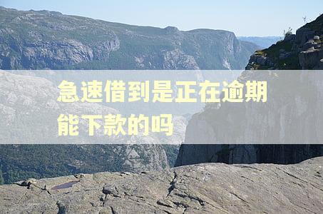 急速借到是正在逾期能下款的吗