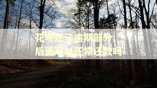 花呗还了逾期部分,后面可以正常还款吗 花呗还了逾期部分,后面可以正常还款吗