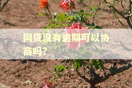 网贷没有逾期可以协商吗?