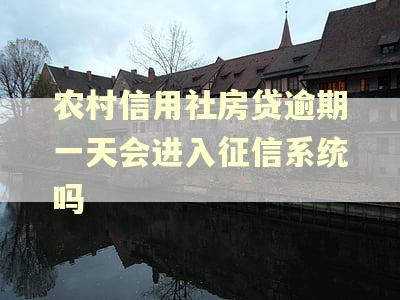 农村信用社房贷逾期一天会进入征信系统吗