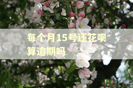 每个月15号还花呗算逾期吗