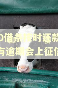 360借条按时还款没有逾期会上征信吗