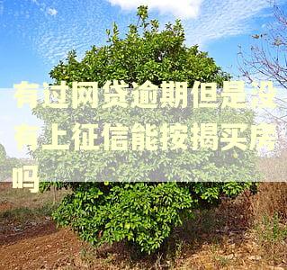 有过网贷逾期但是没有上征信能按揭买房吗 有过网贷逾期但是没有上征信能按揭买房吗
