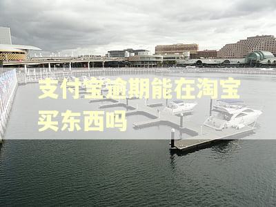 支付宝逾期能在淘宝买东西吗 支付宝逾期能在淘宝买东西吗