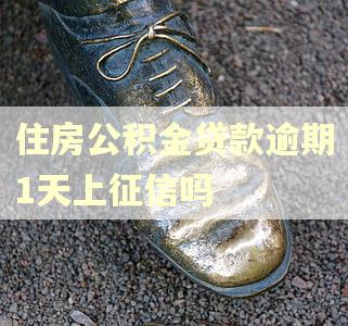 住房公积金贷款逾期1天上征信吗 住房公积金贷款逾期1天上征信吗