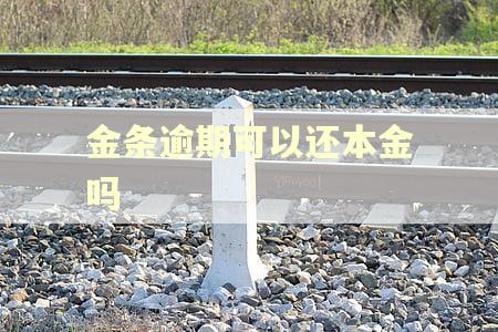 金条逾期可以还本金吗